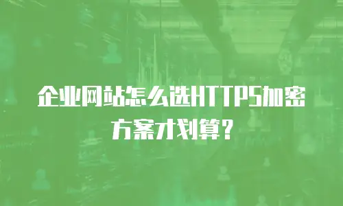 企业网站怎么选HTTPS加密方案才划算？
