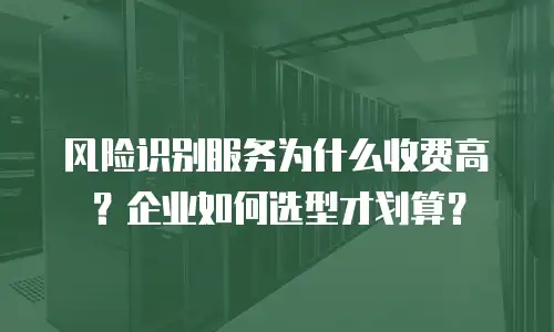 风险识别服务为什么收费高？企业如何选型才划算？