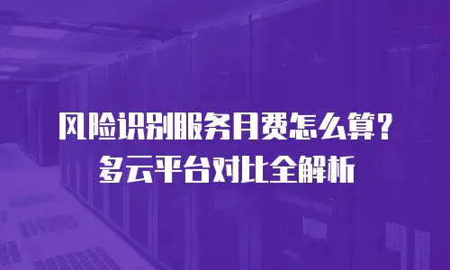 风险识别服务月费怎么算？多云平台对比全解析