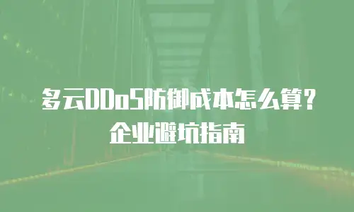 多云DDoS防御成本怎么算？企业避坑指南
