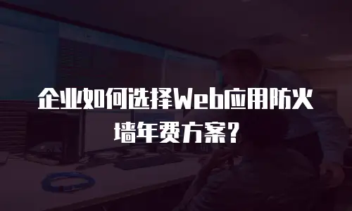 企业如何选择Web应用防火墙年费方案？