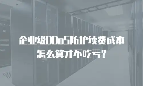 企业级DDoS防护续费成本怎么算才不吃亏？