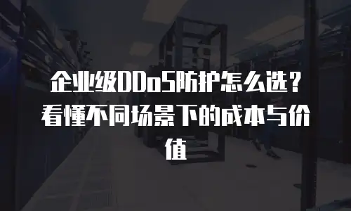 企业级DDoS防护怎么选？看懂不同场景下的成本与价值