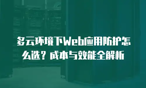 多云环境下Web应用防护怎么选？成本与效能全解析