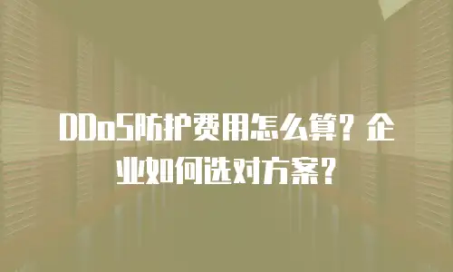 DDoS防护费用怎么算？企业如何选对方案？