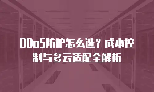 DDoS防护怎么选？成本控制与多云适配全解析