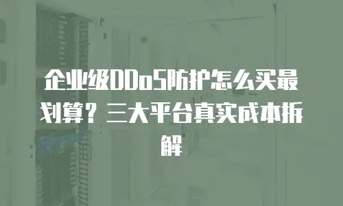 企业级DDoS防护怎么买最划算？三大平台真实成本拆解