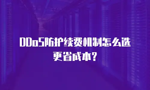 DDoS防护续费机制怎么选更省成本？