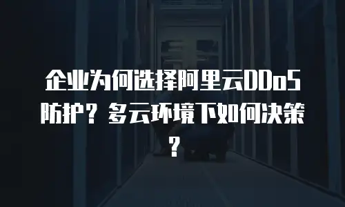企业为何选择阿里云DDoS防护？多云环境下如何决策？