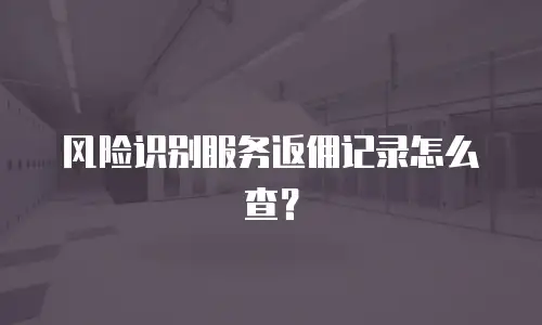 风险识别服务返佣记录怎么查？