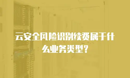 云安全风险识别续费属于什么业务类型？