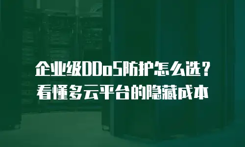 企业级DDoS防护怎么选？看懂多云平台的隐藏成本
