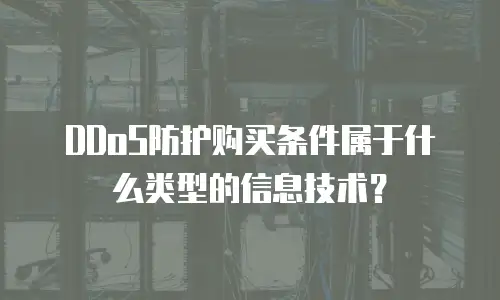 DDoS防护购买条件属于什么类型的信息技术？