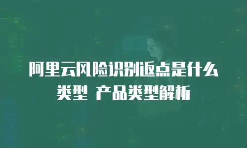 阿里云风险识别返点是什么类型 产品类型解析