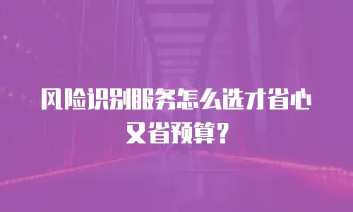 风险识别服务怎么选才省心又省预算？