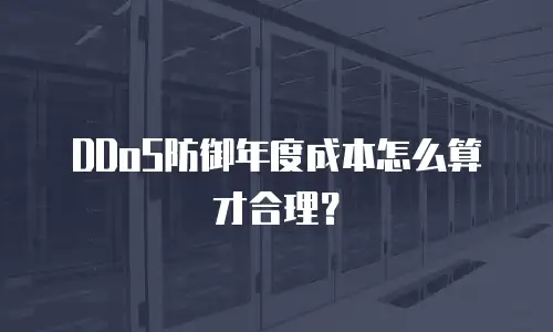 DDoS防御年度成本怎么算才合理？
