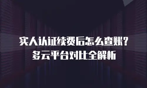 实人认证续费后怎么查账？多云平台对比全解析