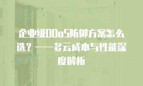 企业级DDoS防御方案怎么选？——多云成本与性能深度解析