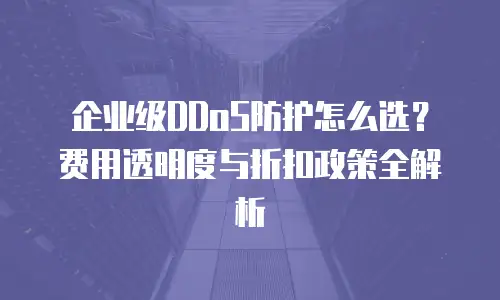 企业级DDoS防护怎么选？费用透明度与折扣政策全解析