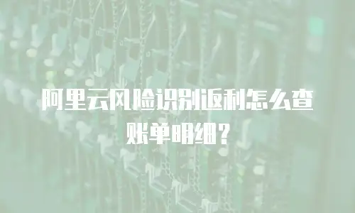阿里云风险识别返利怎么查账单明细？