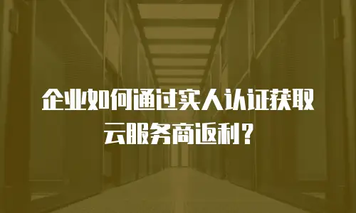 企业如何通过实人认证获取云服务商返利？