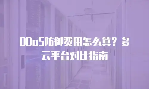 DDoS防御费用怎么算？多云平台对比指南