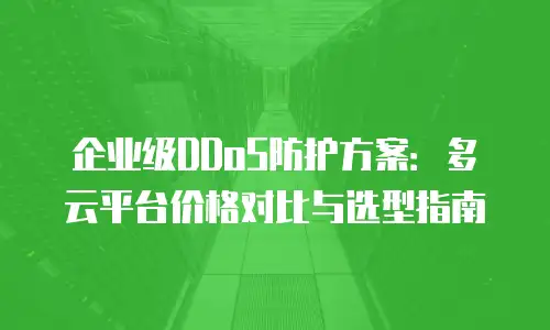 企业级DDoS防护方案：多云平台价格对比与选型指南