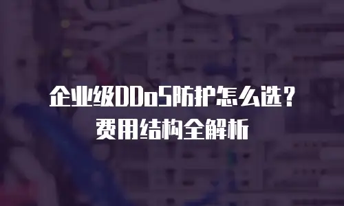 企业级DDoS防护怎么选？费用结构全解析