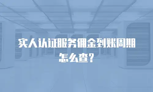 实人认证服务佣金到账周期怎么查？