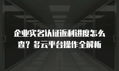 企业实名认证返利进度怎么查？多云平台操作全解析