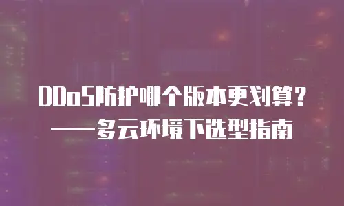 DDoS防护哪个版本更划算？——多云环境下选型指南