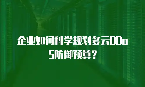 企业如何科学规划多云DDoS防御预算？