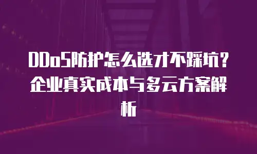 DDoS防护怎么选才不踩坑？企业真实成本与多云方案解析