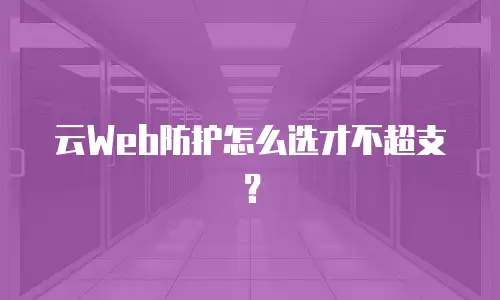 云Web防护怎么选才不超支？
