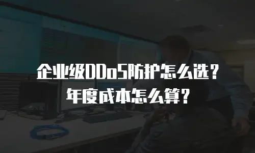 企业级DDoS防护怎么选？年度成本怎么算？