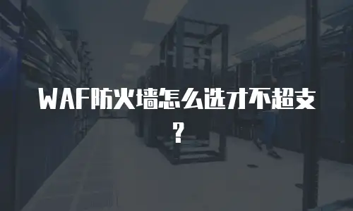 WAF防火墙怎么选才不超支？
