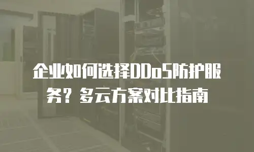 企业如何选择DDoS防护服务？多云方案对比指南