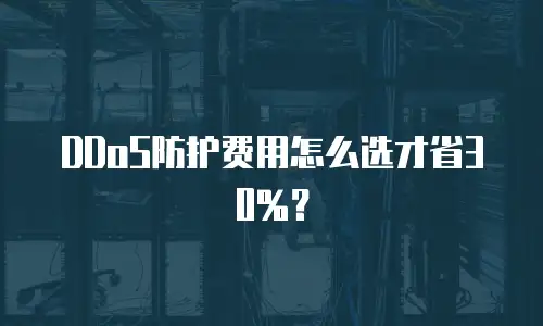 DDoS防护费用怎么选才省30%？
