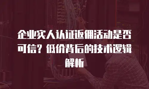 企业实人认证返佣活动是否可信？低价背后的技术逻辑解析