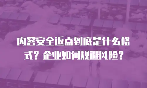 内容安全返点到底是什么格式？企业如何规避风险？