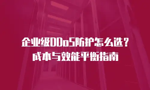 企业级DDoS防护怎么选？成本与效能平衡指南