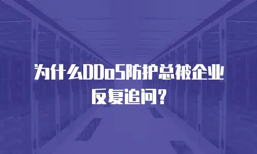 为什么DDoS防护总被企业反复追问？