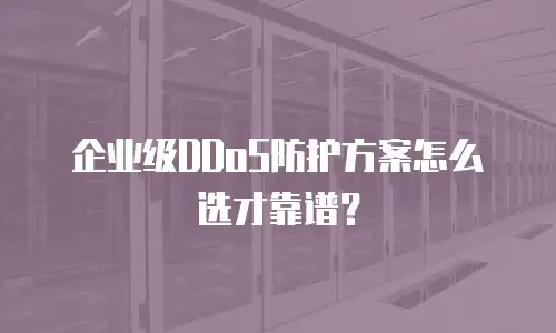 企业级DDoS防护方案怎么选才靠谱？