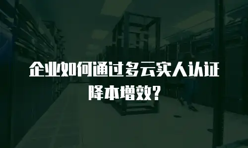 企业如何通过多云实人认证降本增效？