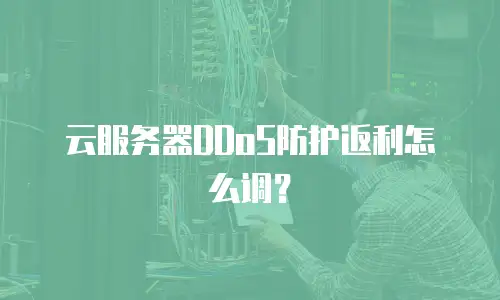 云服务器DDoS防护返利怎么调？