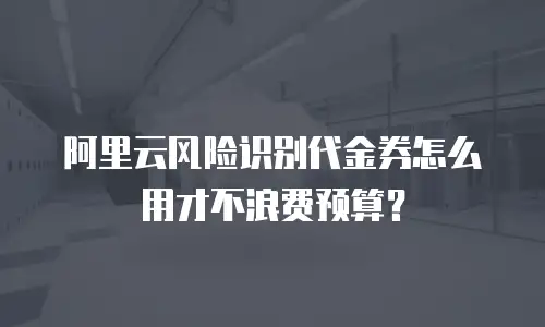 阿里云风险识别代金券怎么用才不浪费预算？
