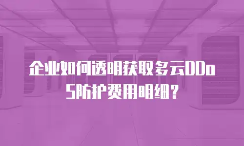 企业如何透明获取多云DDoS防护费用明细？