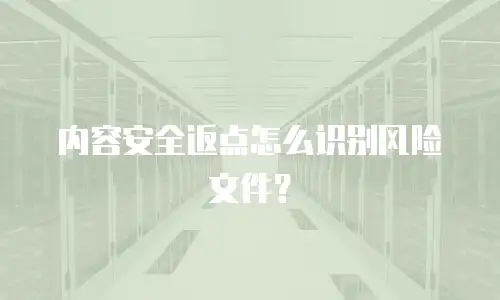 内容安全返点怎么识别风险文件？
