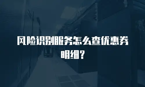 风险识别服务怎么查优惠券明细？
