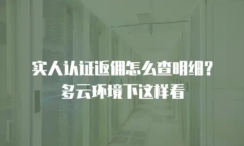 实人认证返佣怎么查明细？多云环境下这样看